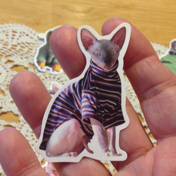 Sphynx Cats Stickers, funny, quirky, silly, for cellphone, crafts, hydroflask - Picture 6 of 6
